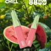 001-01.webp CHILL 鴨嘴獸8800口拋棄式電子煙|特色造型設計・高容量續航配置・潮流便攜體驗