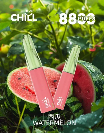 001-01.webp CHILL 鴨嘴獸8800口拋棄式電子煙|特色造型設計・高容量續航配置・潮流便攜體驗