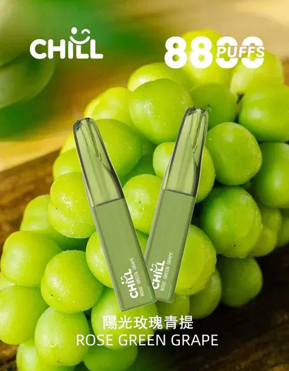 001-06.webp CHILL 鴨嘴獸8800口拋棄式電子煙|特色造型設計・高容量續航配置・潮流便攜體驗