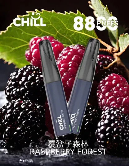 001-13.webp CHILL 鴨嘴獸8800口拋棄式電子煙|特色造型設計・高容量續航配置・潮流便攜體驗