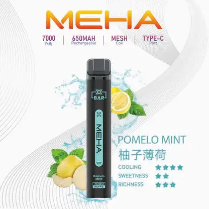 MEHA-XBAR-拋棄式-7000口小黑條-9.webp MEHA XBAR 魅嗨小黑條7000口拋棄式電子煙|極簡黑潮設計・高容量續航配置・細膩霧化體驗
