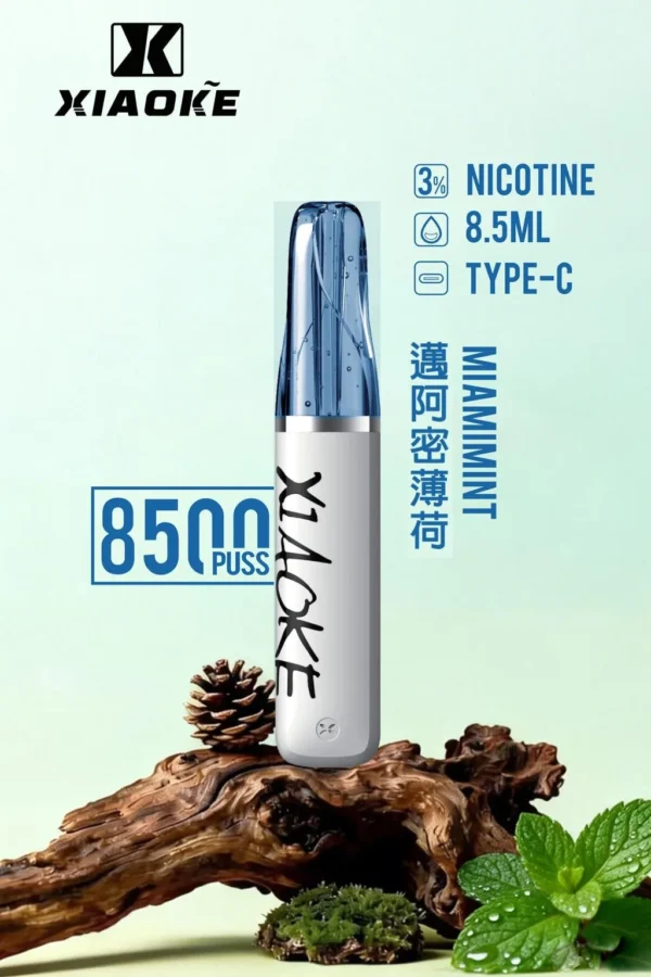 XIAOKE 梟客 8500口拋棄式電子煙｜順暢尼古丁鹽・輕巧大儲油量・Type-C長效續航