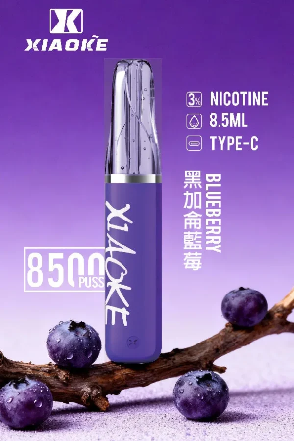 XIAOKE 梟客 8500口拋棄式電子煙｜順暢尼古丁鹽・輕巧大儲油量・Type-C長效續航