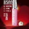XIAOKE 梟客 8500口拋棄式電子煙｜順暢尼古丁鹽・輕巧大儲油量・Type-C長效續航