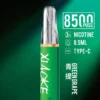 XIAOKE 梟客 8500口拋棄式電子煙｜順暢尼古丁鹽・輕巧大儲油量・Type-C長效續航